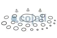 р/к блока клапанов ELC! Omn Volvo B7/10/12 6014040 COJALI