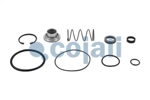 р/к ускорительного клапана! (мпр)уплотнения для 973 001 0.MB,MAN,DAF,IVECO,RVI,Volvo 6012156 COJALI