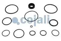 р/к ускорительного клапана !4802020040 (кольца упл. резина, манжета резина) MB Actros 6012173 COJALI