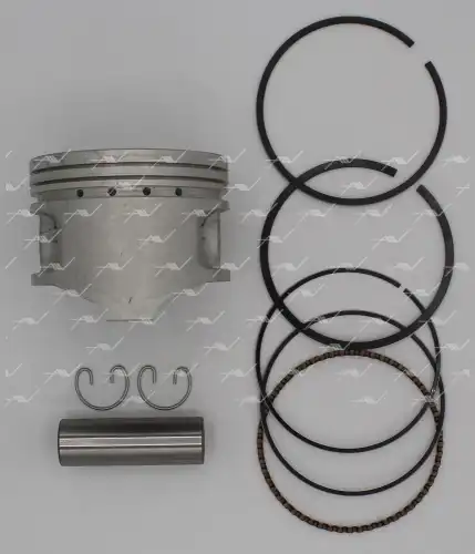 AUTOWELT ПОРШНЯ (10013160/041019/0401018 ) PN34321