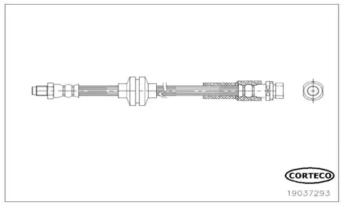 шланг тормозной задний! Ford Focus 1.6/2.0 11-14 19037293 CORTECO