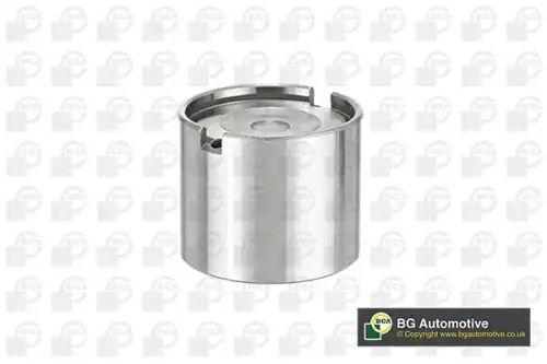 Гидрокомпенсатор BGA CF6896