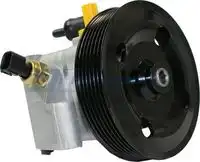 Насос гидроусилителя руля MOTORHERZ P1015HG