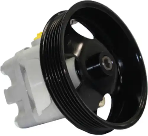 Насос гидроусилителя руля MOTORHERZ P1295HG