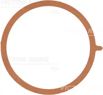 Прокладка коллектора VICTOR REINZ 71-38953-00
