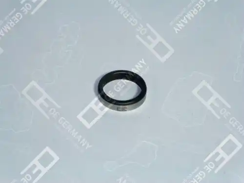 седло клапана! IN  MB Actros/Axor OM904LA/924LA 01 0123 900001 OE GERMANY