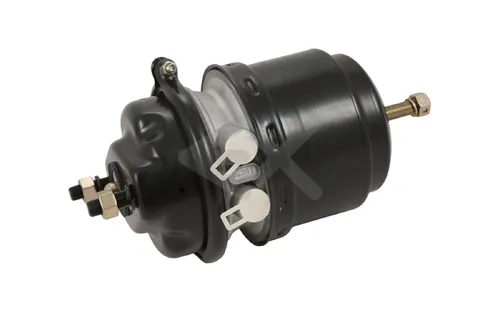 энергоаккумулятор!  MAN, MB 20813E EXOVO