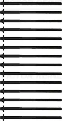 Болт головки блока цилиндра (ГБЦ) VICTOR REINZ 14-32365-01