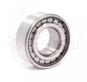 подшипник роликовый! дифференциала 45x100x31 Iveco EuroCargo F19063 FERSA