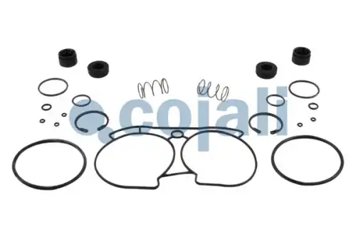 р/к модулятора EBS прицепа! 4801020030 6012284 COJALI