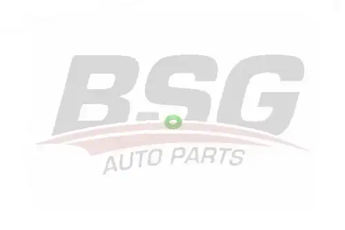 Кольцо уплотнительное форсунки BSG BSG 30-995-050