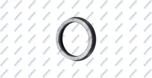 кольцо трансмиссии! КПП d=18 MAN,DAF,RVI,Iveco ZF 16S151/181 К20.01593 KACMAZLAR