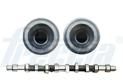 Распредвал FRECCIA CM052221