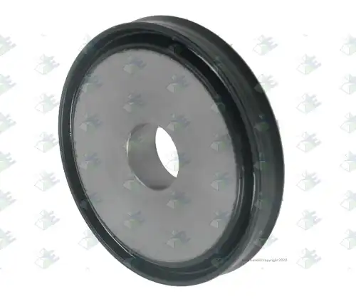 поршень цилиндра КПП! с кольцом Iveco, DAF 95535602 EURORICAMBI