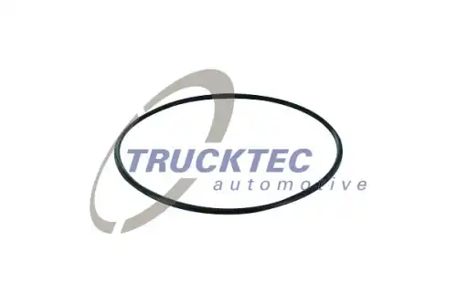 Кольцо уплотнительное автомобильное TRUCKTEC 01.13.199