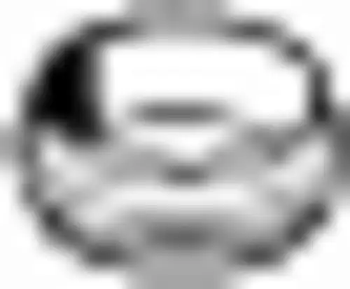 Кольцо уплотнительное автомобильное BOSAL 256-092