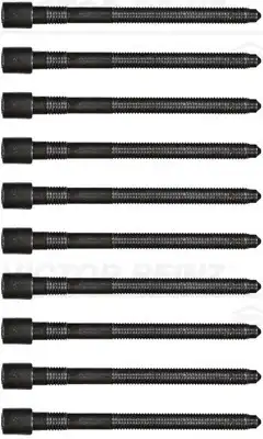 Болт головки блока цилиндра (ГБЦ) VICTOR REINZ 14-32124-01