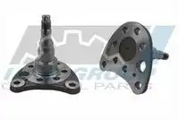 Ступица IJS 10-2006