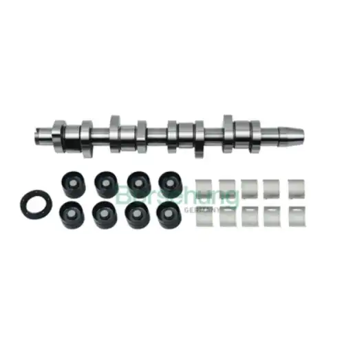 Распредвал BORSEHUNG B18664