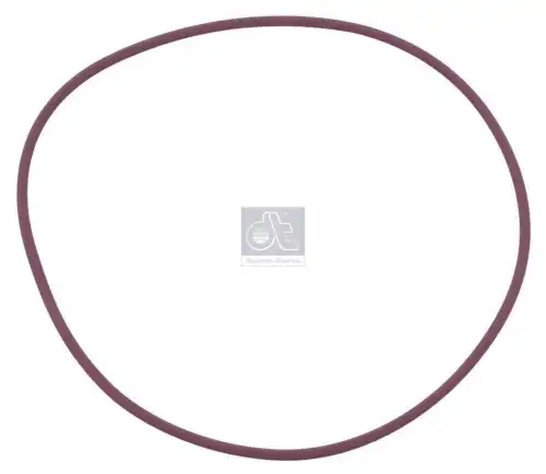 Кольцо уплотнительное автомобильное DT 2.44916