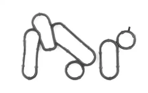 прокладка мал. радиатора! Ford Transit 2.2 06-14 BSG30116109 BSG