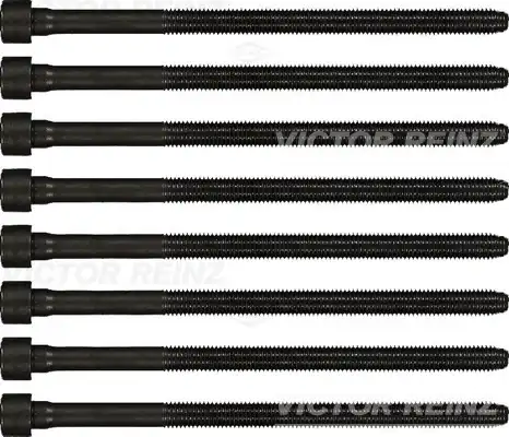 Болт головки блока цилиндра (ГБЦ) VICTOR REINZ 14-32198-01