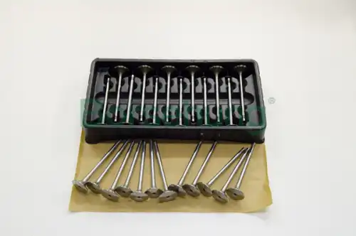 к-кт клапанов! впуск./выпуск. 24шт. 33.85x6x104 Audi A3 2.0 AXW 03>