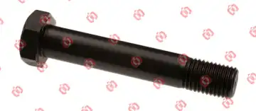 болт рессоры/реакт.тяги !M30x170 BPW 30.01.19 ONYARBI