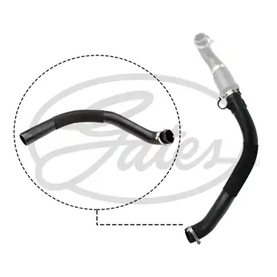 патрубок интеркулера!Ford Transit 07-14 09-0623 GATES