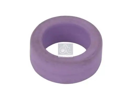 Кольцо уплотнительное автомобильное DT 2.11066