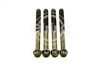 Болт головки блока цилиндра (ГБЦ) ELRING 258.610