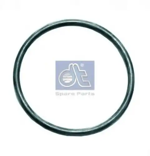 Кольцо уплотнительное автомобильное DT 4.20133