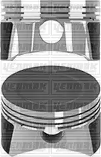 3104950000 Поршень FOCUS-2 1.6 100л с 79,00 mm YENMAK