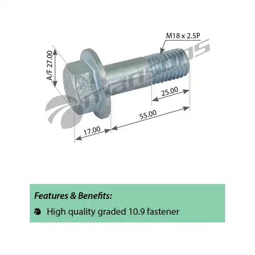 болт крепления суппорта! M18x2x55 SW27 DAF 200341 MANSONS