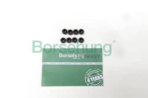 Колпачки маслосъемные BORSEHUNG B19239