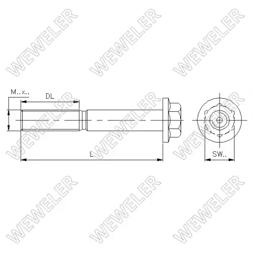 болт крепления амортизатора! М20х170х2 Schmitz C275126G WEWELER