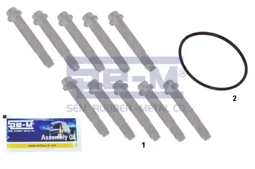 к-т болтов крепления торм. диска! 10 болтов M12x1.5x75, кольцо упл., смазкаSAF 16201 SE-M