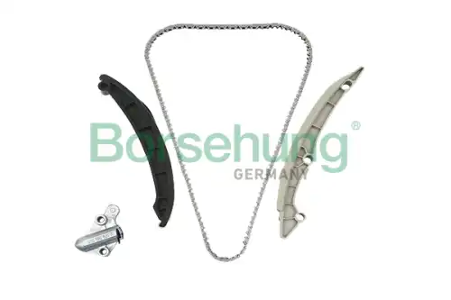ремкомплект ГРМ! цепной, cо звездочками Audi A3, Skoda Oktavia, VW Golf/Passat 1.4TSI 07> B19257 BORSEHUNG