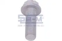 болт! полуресс. пневмоподушки M16x2x70 BPW 16225 SE-M