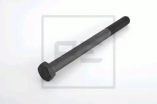 болт подвески !(м) M20x2x260/70MAN TGA/TGX/TGS/TGM/F2000 030.272-00A PE