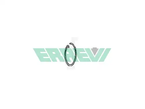 стопор! ступицы ROR 732189 ERREVI