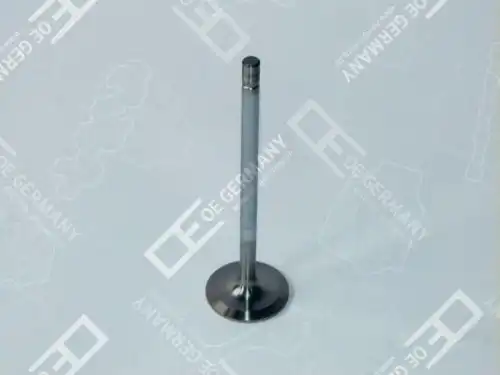 клапан впускной !  DAF 85CF/95XF 06 0520 XF9500 OE GERMANY