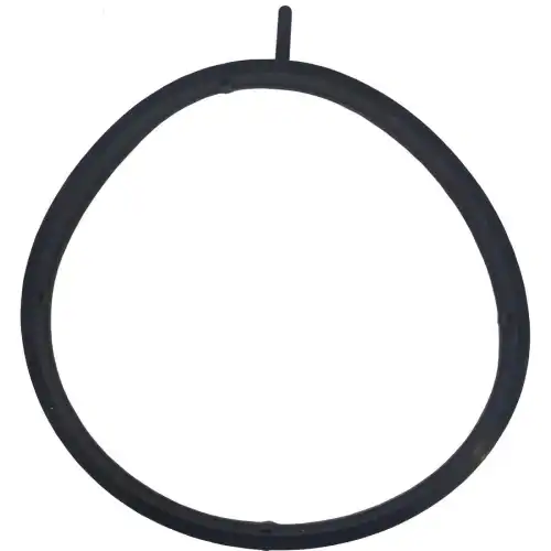 прокладка дроссельной заслонки ! Renault Fluence 24400001 FEBEST