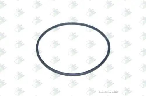 Кольцо уплотнительное автомобильное EURORICAMBI 95531699