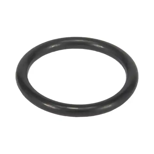 Кольцо уплотнительное автомобильное BOSCH F 00R J01 452