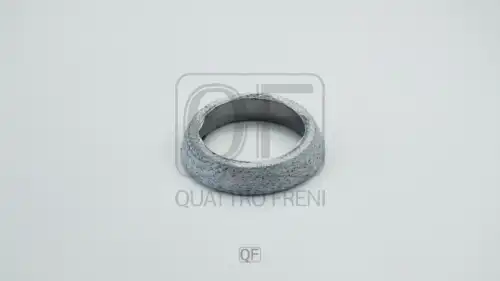 Кольцо уплотнительное автомобильное QUATTRO FRENI QF17A00044