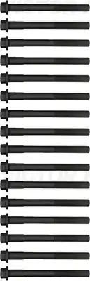 Болт головки блока цилиндра (ГБЦ) VICTOR REINZ 14-32284-02