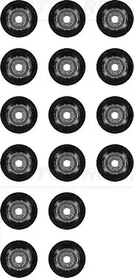 Колпачки маслосъемные VICTOR REINZ 12-54093-01