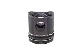 поршень! d128 кам сг d80 -21.6 Omn MAN F2000 D2865LF09/21 D2866LF14/16/20 EURO-2 03 010 130 5830 00 SF ENGINE