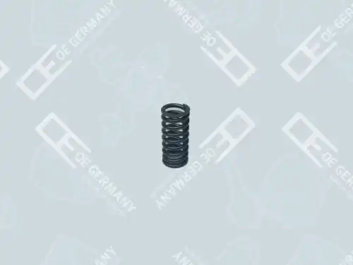 пружина клапана! (наружн.) MB Actros OM457/501/502 01 0523 900001 OE GERMANY